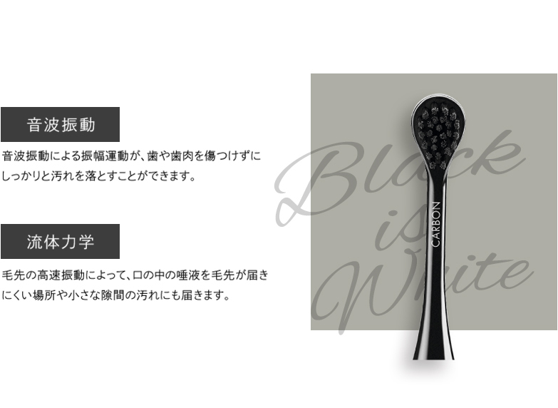 音波振動 流体力学