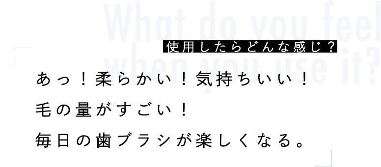 What do you feel when you use it?使用したらどんな感じ？あっ！柔らかい！気持ちいい！毛の量がすごい！毎日の歯ブラシが楽しくなる。