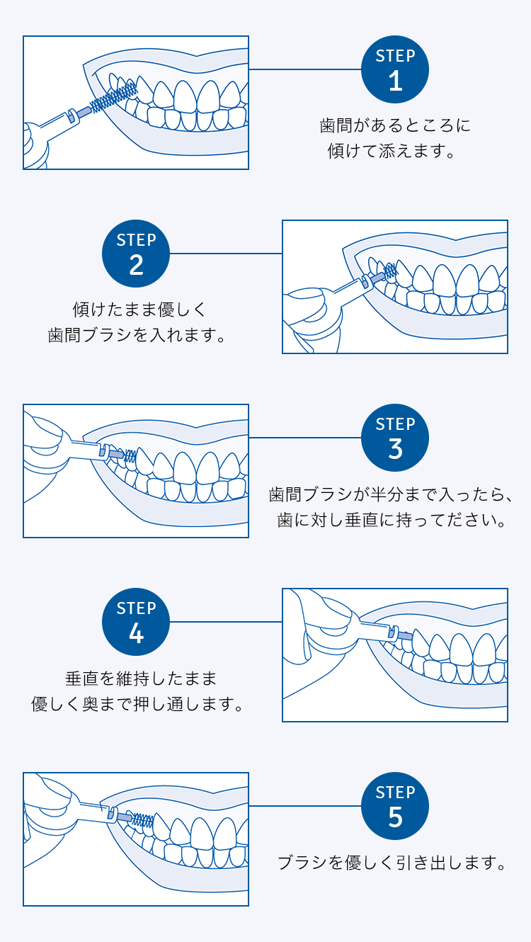 歯間ブラシ特集ページ クラプロックス オンラインショップ［公式通販］