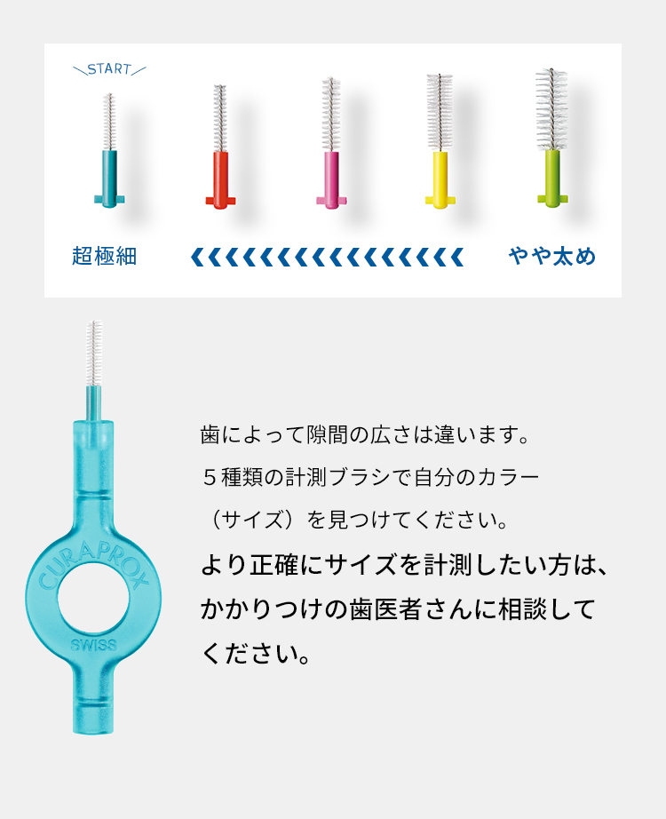 歯間ブラシ特集ページ クラプロックス オンラインショップ［公式通販］