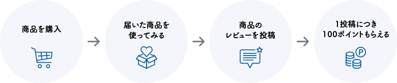 レビューの流れ 100ポイント