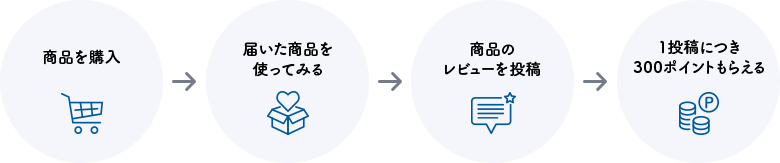 レビューの流れ 300ポイント