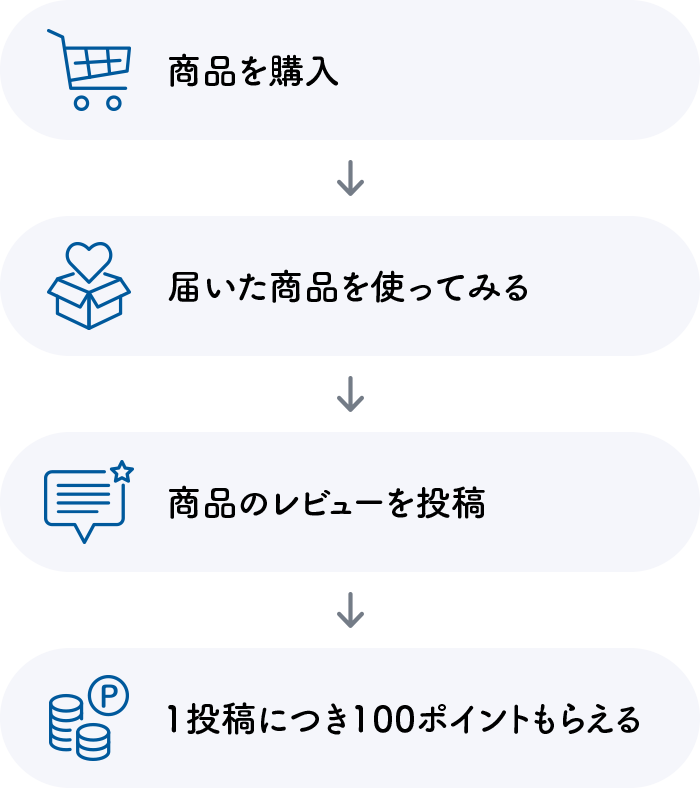 レビューの流れ 100ポイント