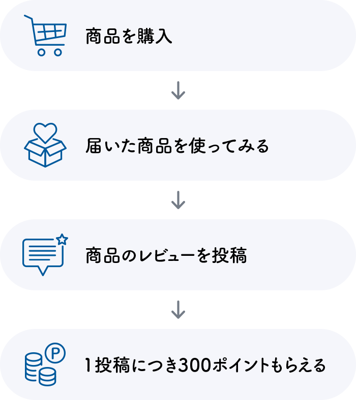 レビューの流れ 300ポイント
