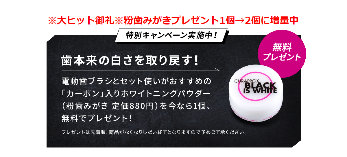 新発売記念キャンペーン 予約販売限定 定価880円の粉歯みがき1個プレゼント