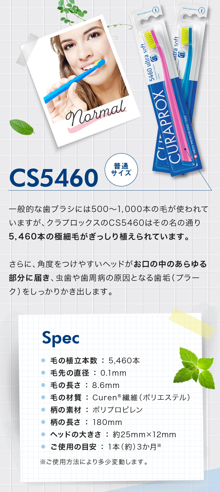 クラプロックスの定番 まずはCS5460からスタート！CS5460普通サイズ