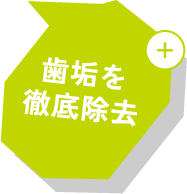 歯垢を徹底除去
