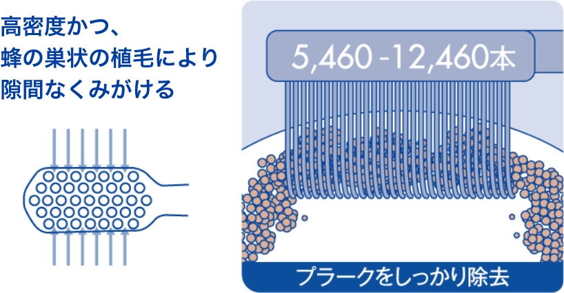 高密度かつ、蜂の巣状の植毛により隙間なくみがける 5,460-12,460本 プラークをしっかり除去