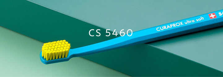 CS 5460